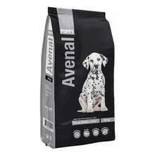Avenal - Cão Puppy
