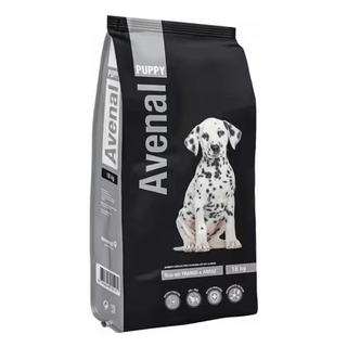 Avenal - Cão Puppy