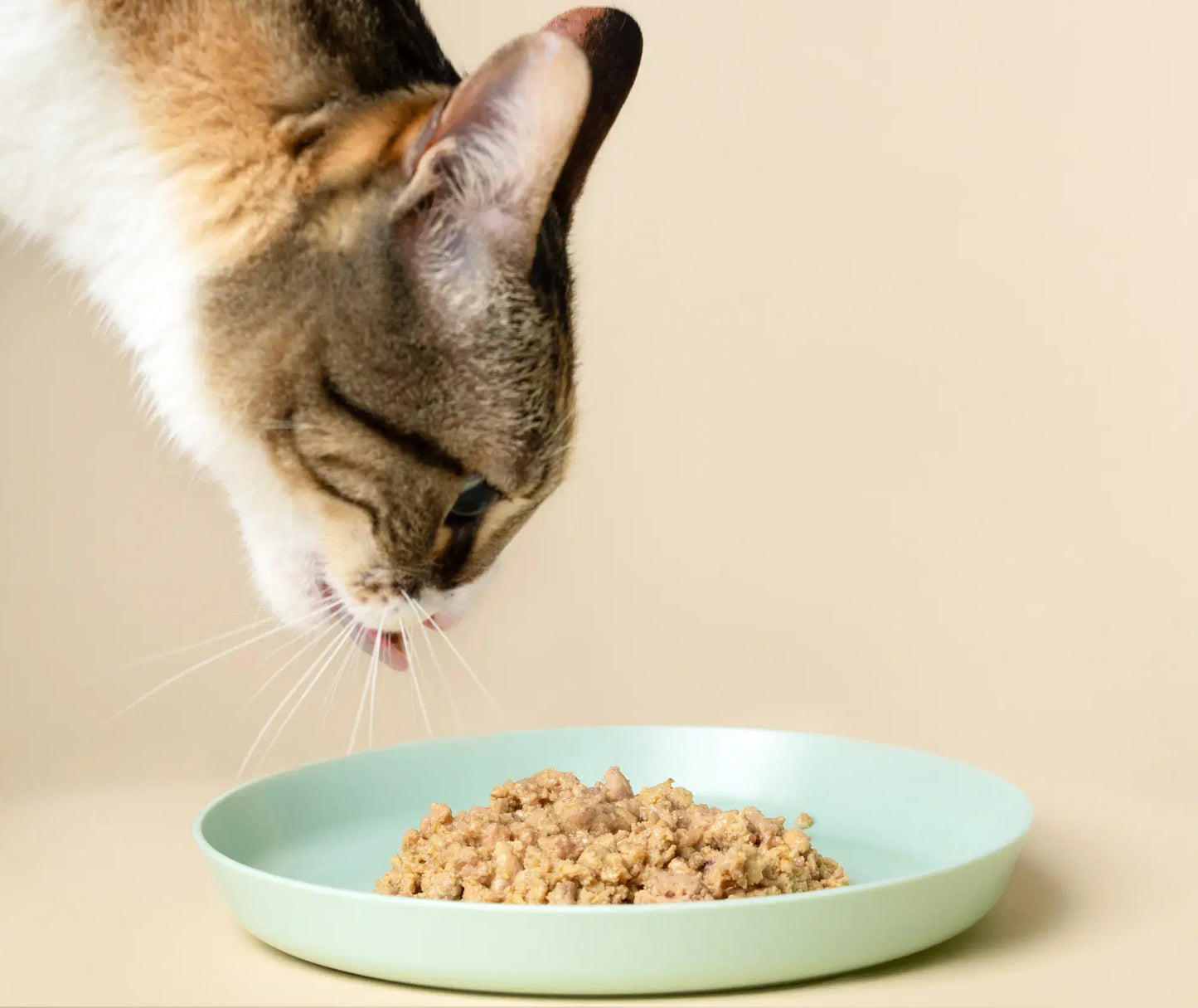 Purrmi Alimento Natural para Gato - Frango | Wet (Frasco)	 | 90g