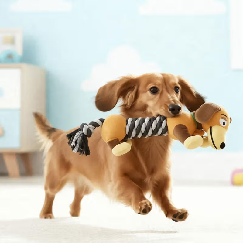 Disney & Warner Bros Slinky Dog do Toy Story - Rope toy for dogs