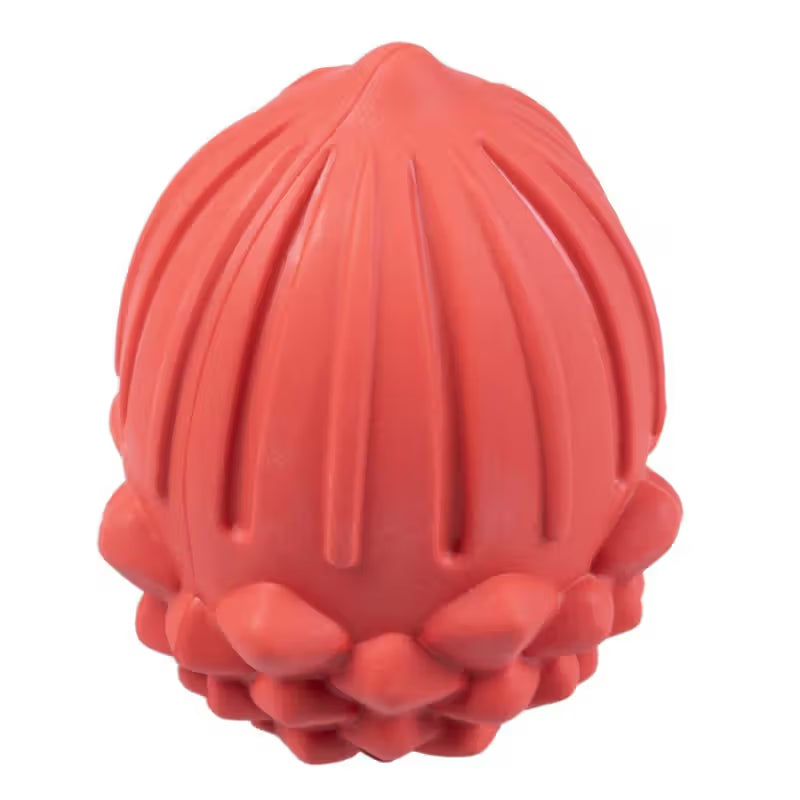 Duvo Plus Griplay pinha - Dog toy