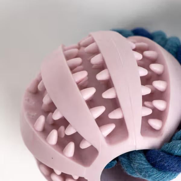 Disney & Warner Bros Brinquedo Stitch com bola e corda - Brinquedo para cão