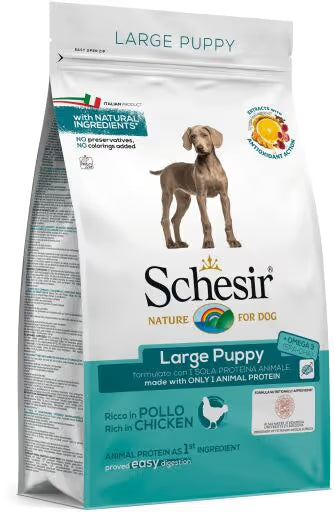 Schesir Cao Puppy Large Seco Frango 12 kg