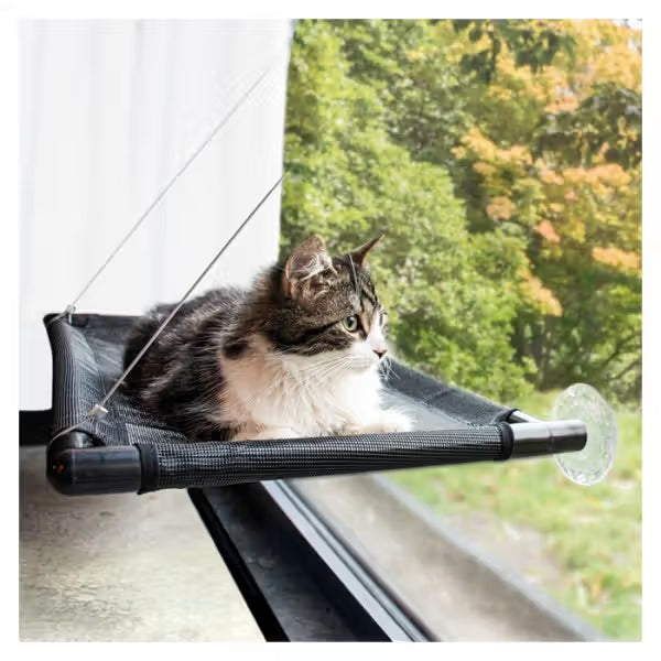 Duvo Plus - Cama de ventana para gato
