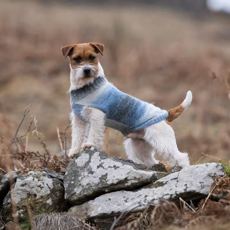 Ferribiella Aurora Clouds - Camisola para cão