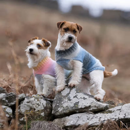 Ferribiella Aurora Clouds - Camisola para cão