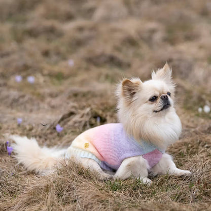 Ferribiella Aurora Rainbow - Dog jumper
