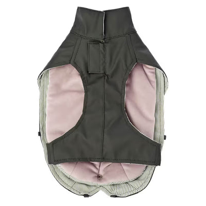 Ferribiella Capa de Chuva Rugiada Verde - Raincoat for dogs