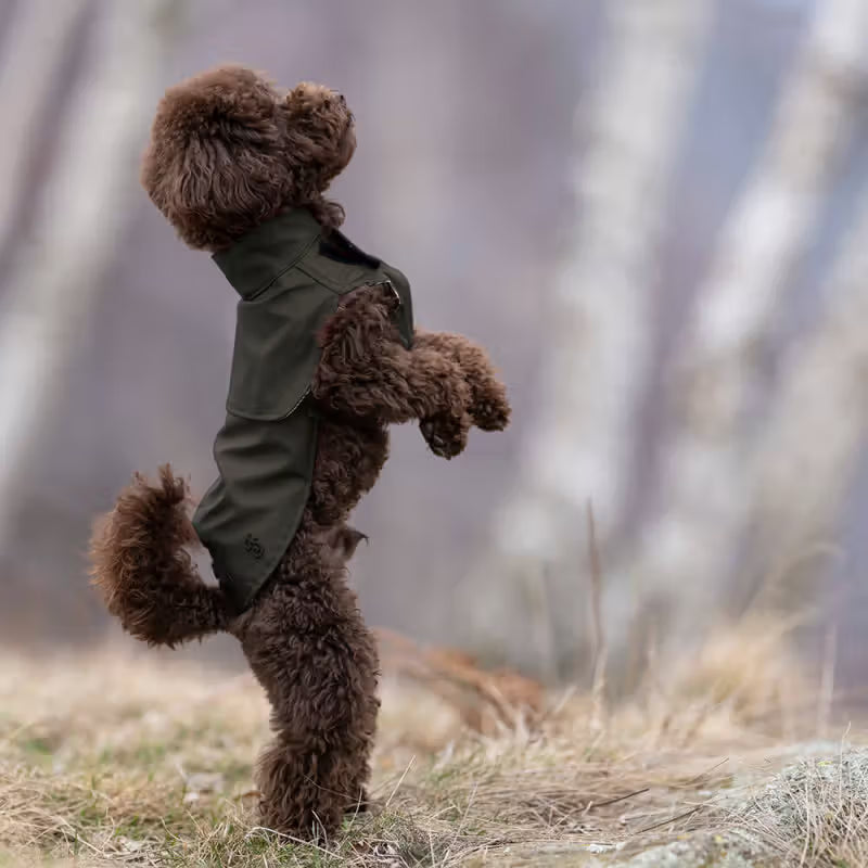 Ferribiella Capa de Chuva Rugiada Verde - Raincoat for dogs