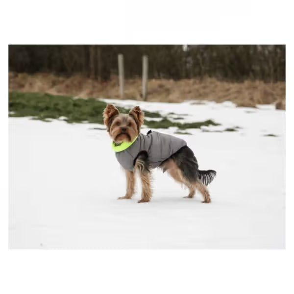 Kerbl Charmomix - Dog Coat