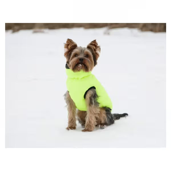 Kerbl Charmomix - Dog Coat