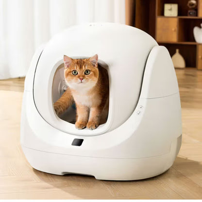 CatLink BayMax Lite - Arenero automático inteligente para gatos