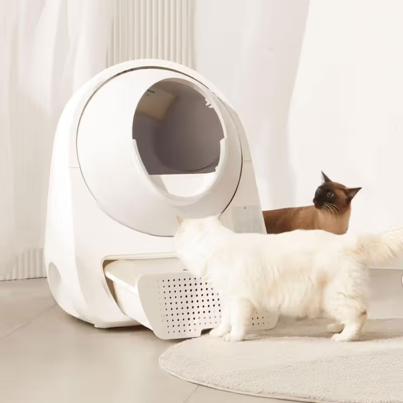 CatLink Luxury Pro-X - Arenero automático inteligente para gatos