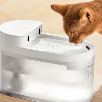 CatLink - Pure 3 Wireless - Fuente de agua inteligente para gatos
