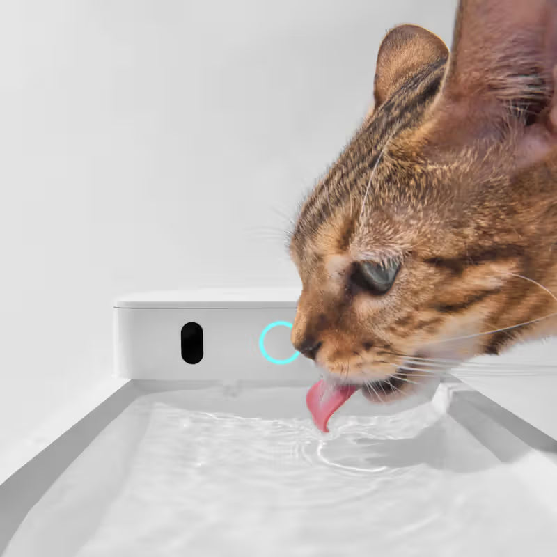 CatLink - Pure 3 Wireless - Fuente de agua inteligente para gatos