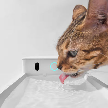 CatLink - Pure 3 Wireless - Fuente de agua inteligente para gatos