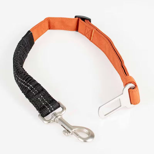 Duvo Plus - Cinto de segurança para cão