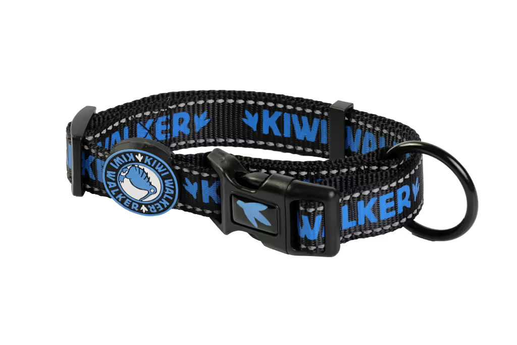Kiwi Walker Dog Collar Blue - Collar para perro