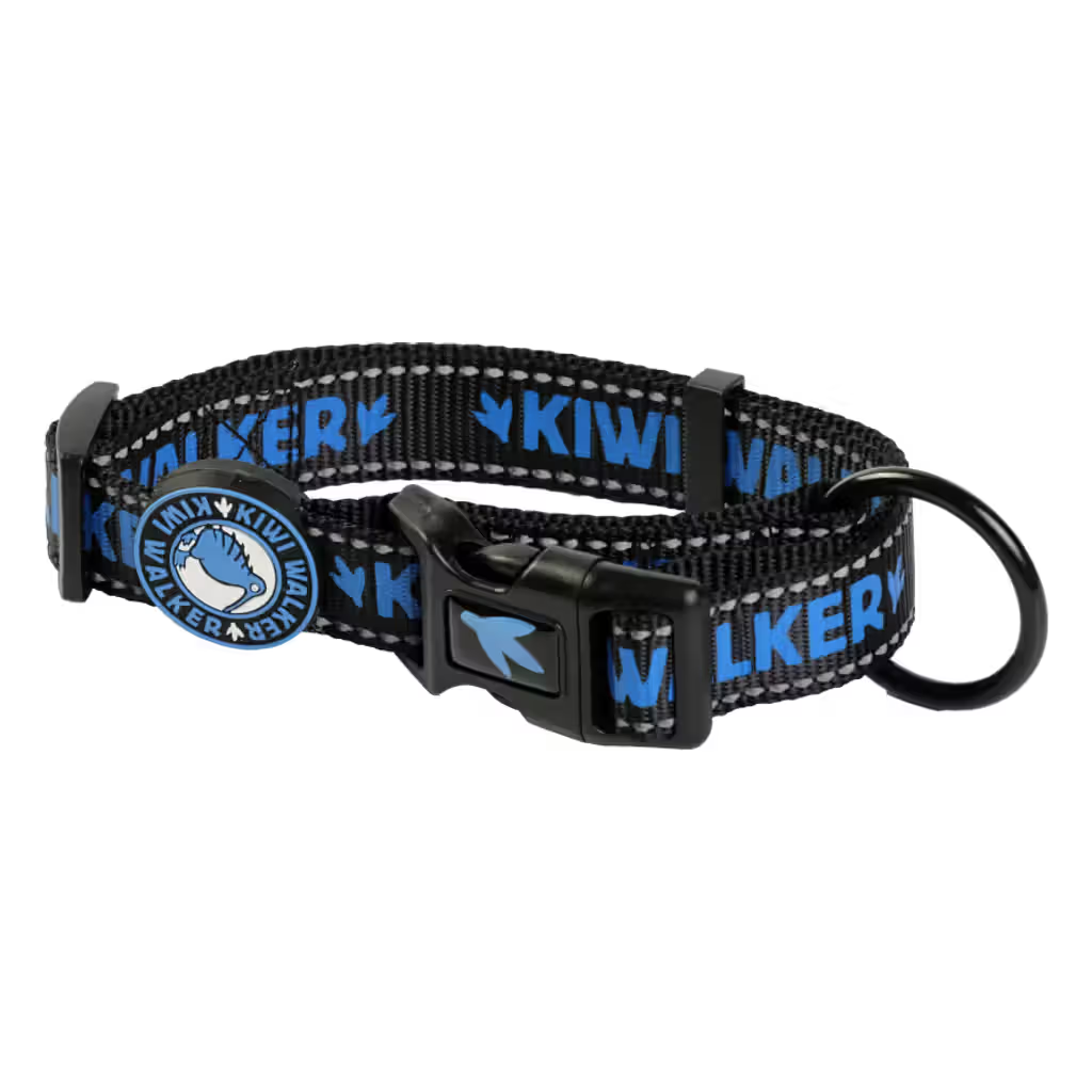 Kiwi Walker Dog Collar Blue - Coleira para cão
