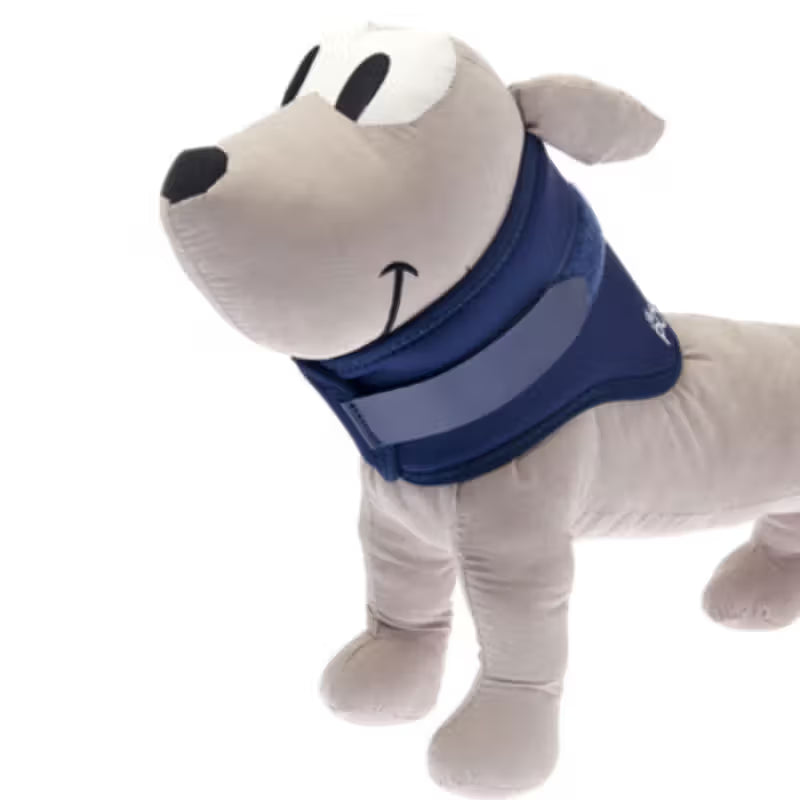 Ferribiella Post Op Easy Colar de Recuperação Cão e Gato - Ração seca para cão e gato