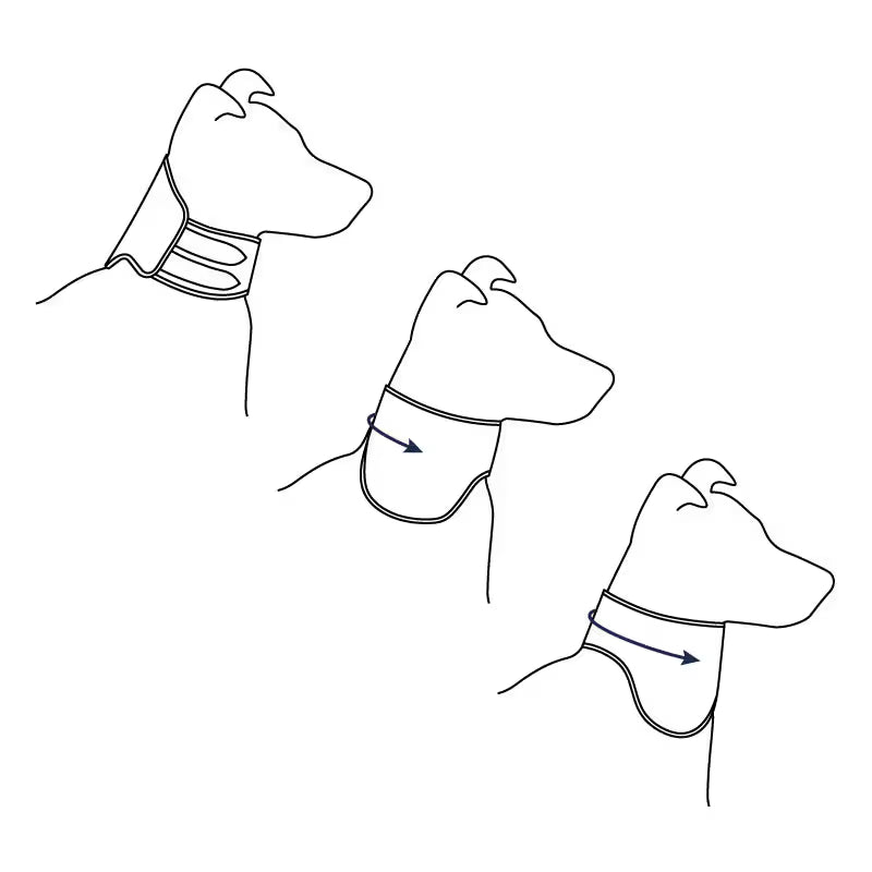 Ferribiella Post Op Easy Colar de Recuperação Cão e Gato - Ração seca para cão e gato