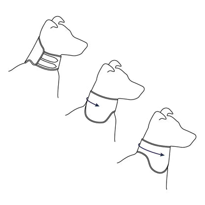 Ferribiella Post Op Easy Colar de Recuperação Cão e Gato - Ração seca para cão e gato