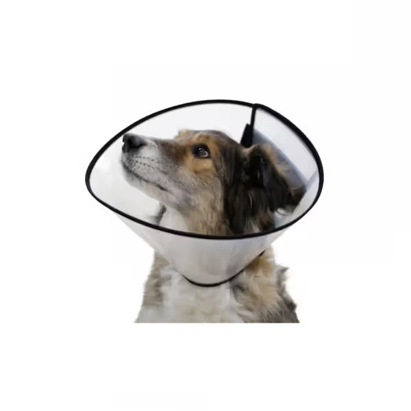 Kerbl Surgical Elizabethan Collar