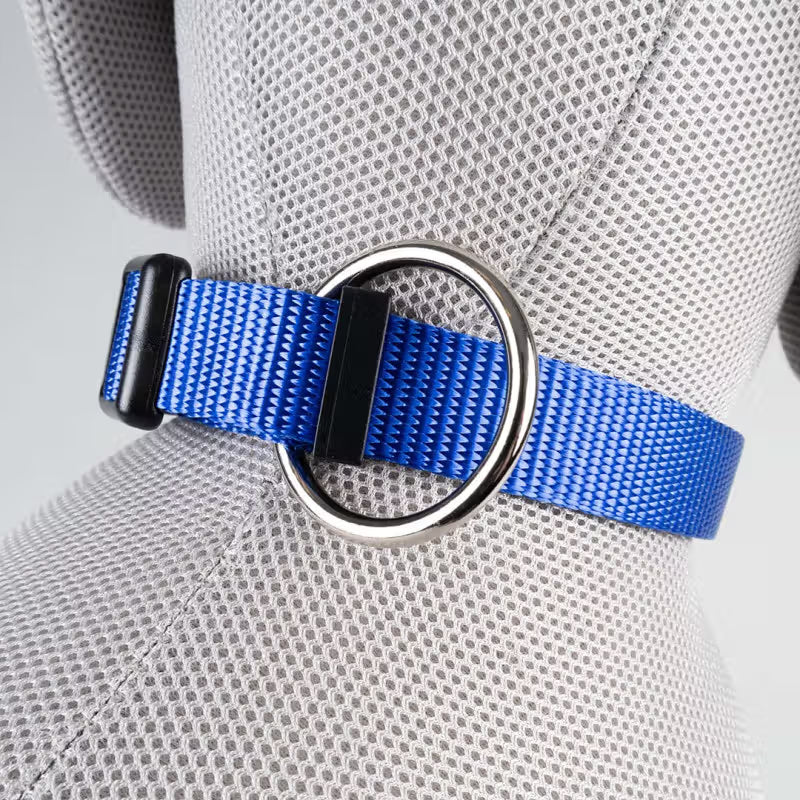 Duvo Plus Explor Classic Azul - Dog collar