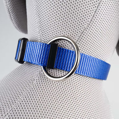 Duvo Plus Explor Classic Azul - Dog collar