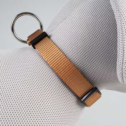 Duvo Plus Explor Classic Castanha Camel - Collar para perro