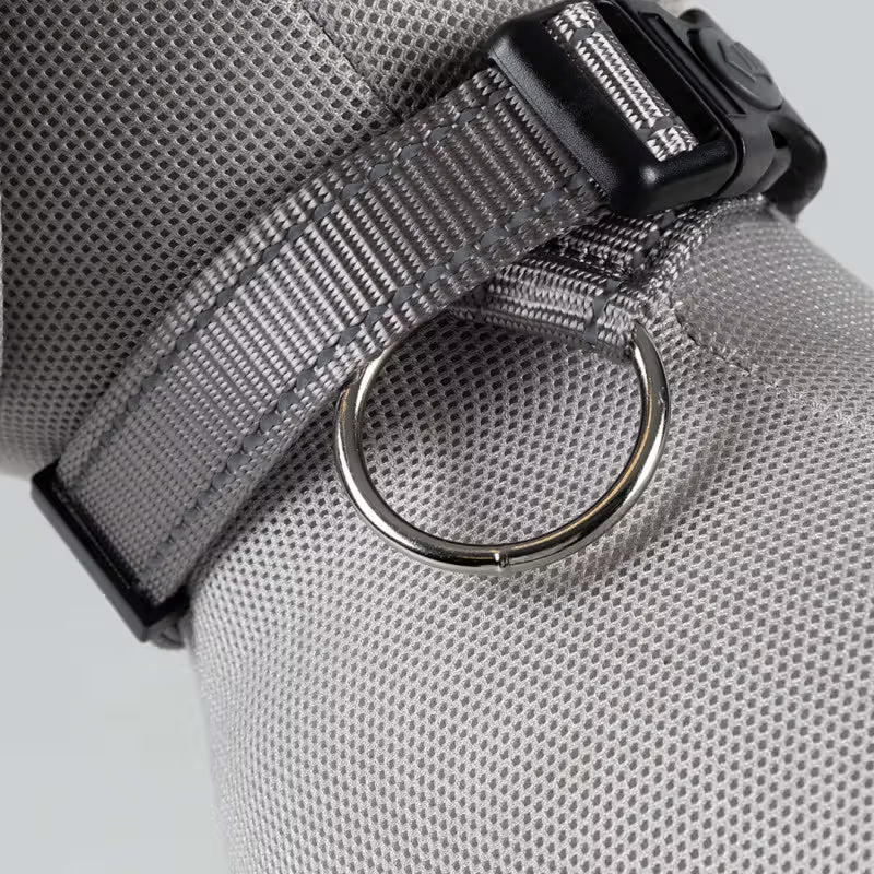 Duvo Plus Explor Classic Cinzento - Dog collar
