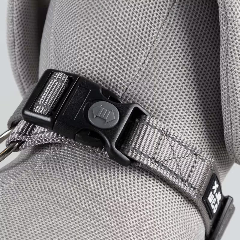 Duvo Plus Explor Classic Cinzento - Dog collar