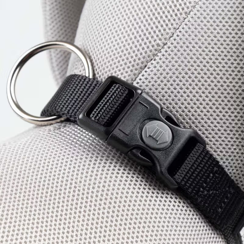 Duvo Plus Explor Classic Preto - Dog collar