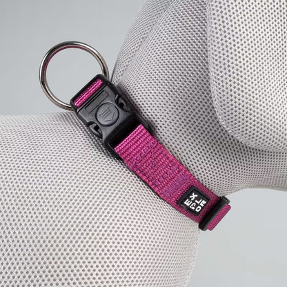 Duvo Plus Explor Classic Rosa - Dog collar
