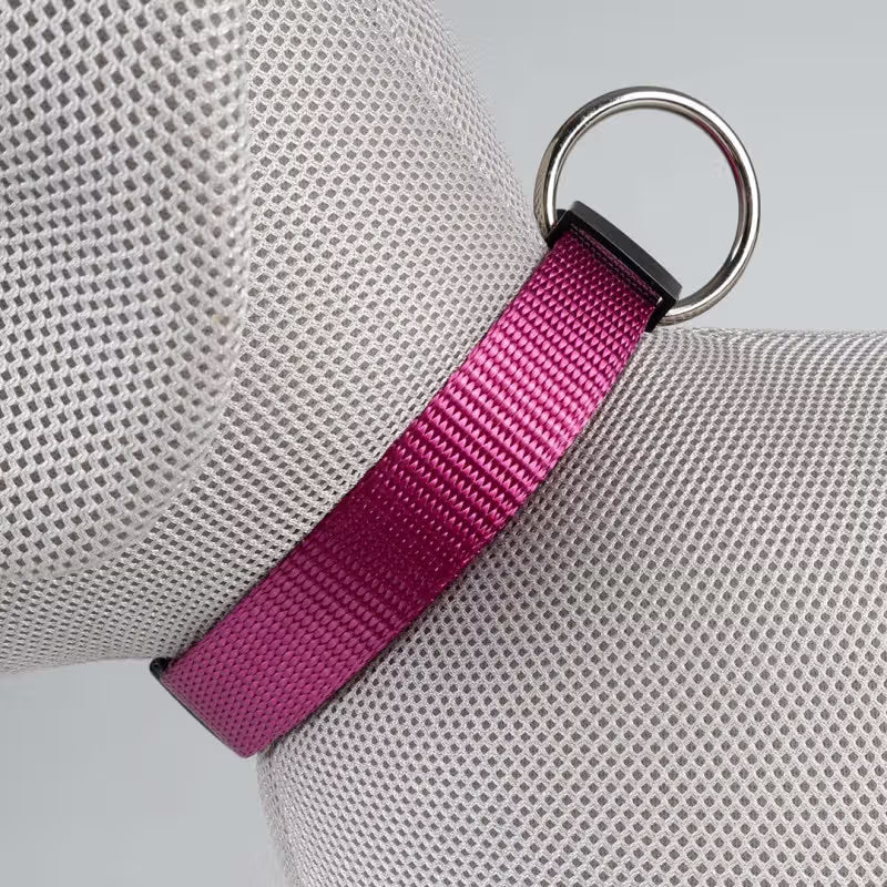 Duvo Plus Explor Classic Rosa - Dog collar
