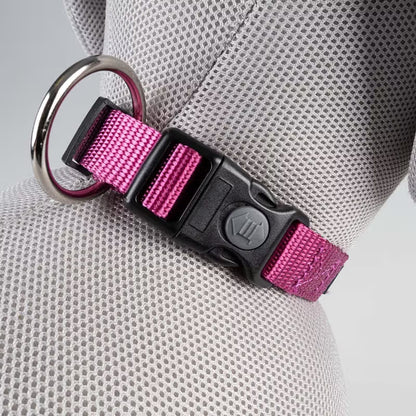 Duvo Plus Explor Classic Rosa - Dog collar