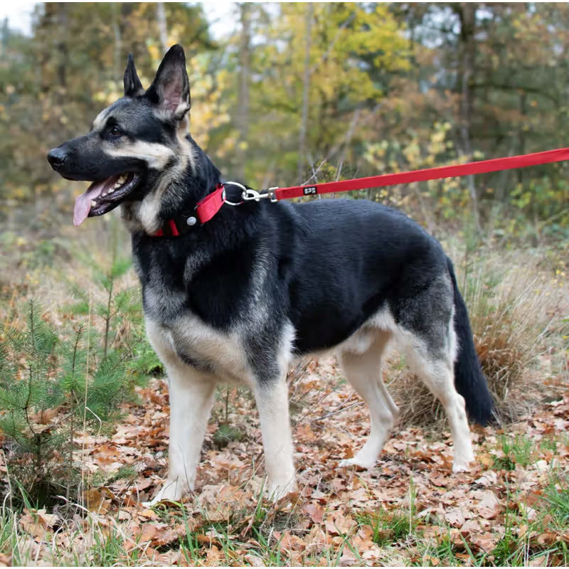 Duvo Plus Explor Classic Vermelho - Collar para perro
