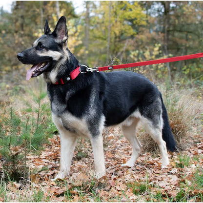 Duvo Plus Explor Classic Vermelho - Collar para perro