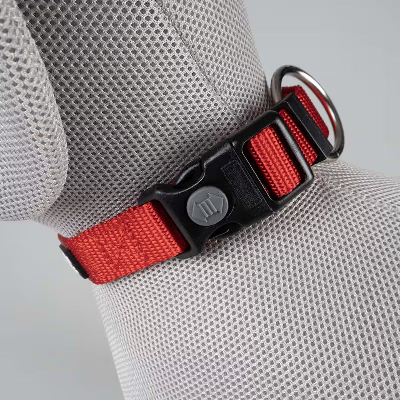 Duvo Plus Explor Classic Vermelho - Collar para perro