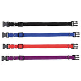 Moly Coleira Nylon Liso - Collar para perro