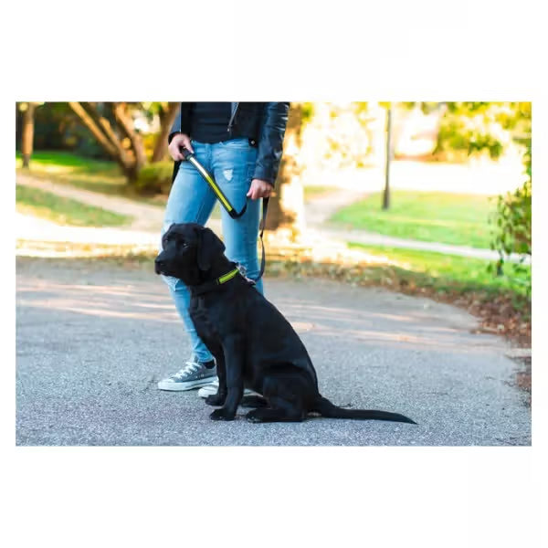 Kerbl Coleira com luz e tira refletora - Coleira para cão