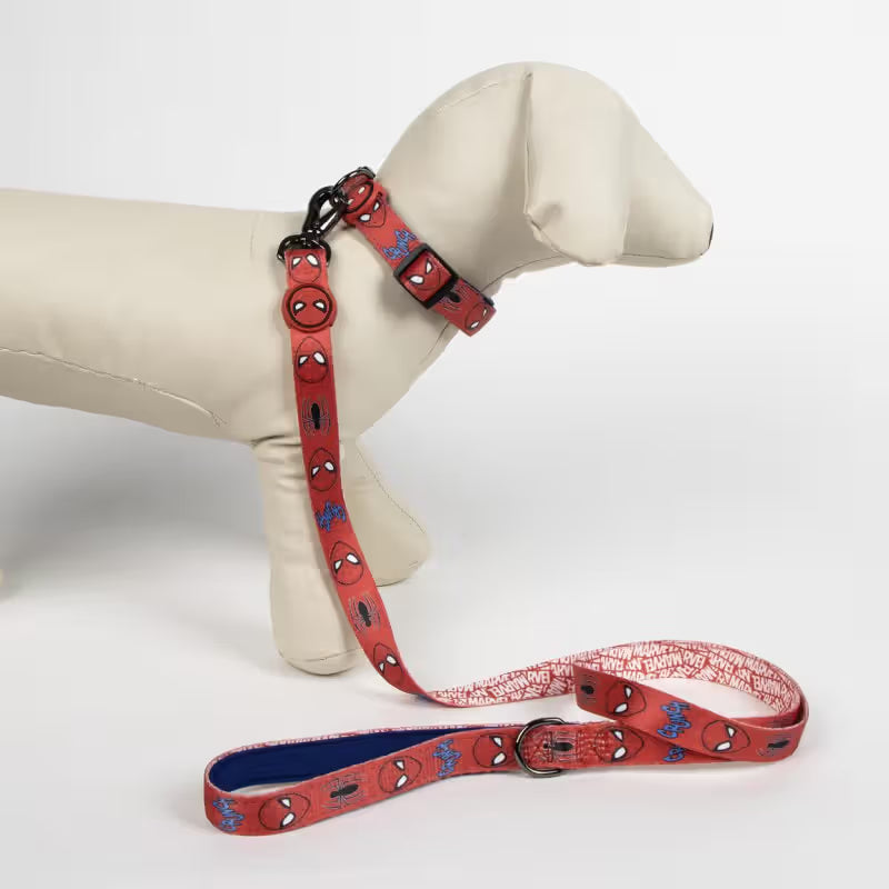 Disney & Warner Bros Coleira Spider Man - Collar para perro