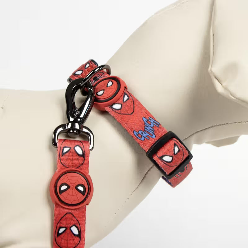Disney & Warner Bros Coleira Spider Man - Collar para perro