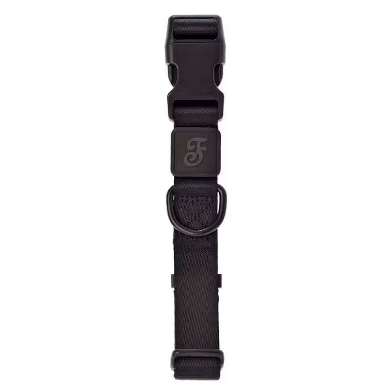 Ferribiella Suprema - Dog collar
