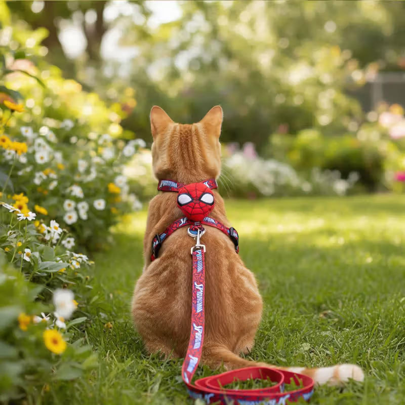 Disney & Warner Bros Conjunto Arnês e Trela Spider Man - para gato e cão