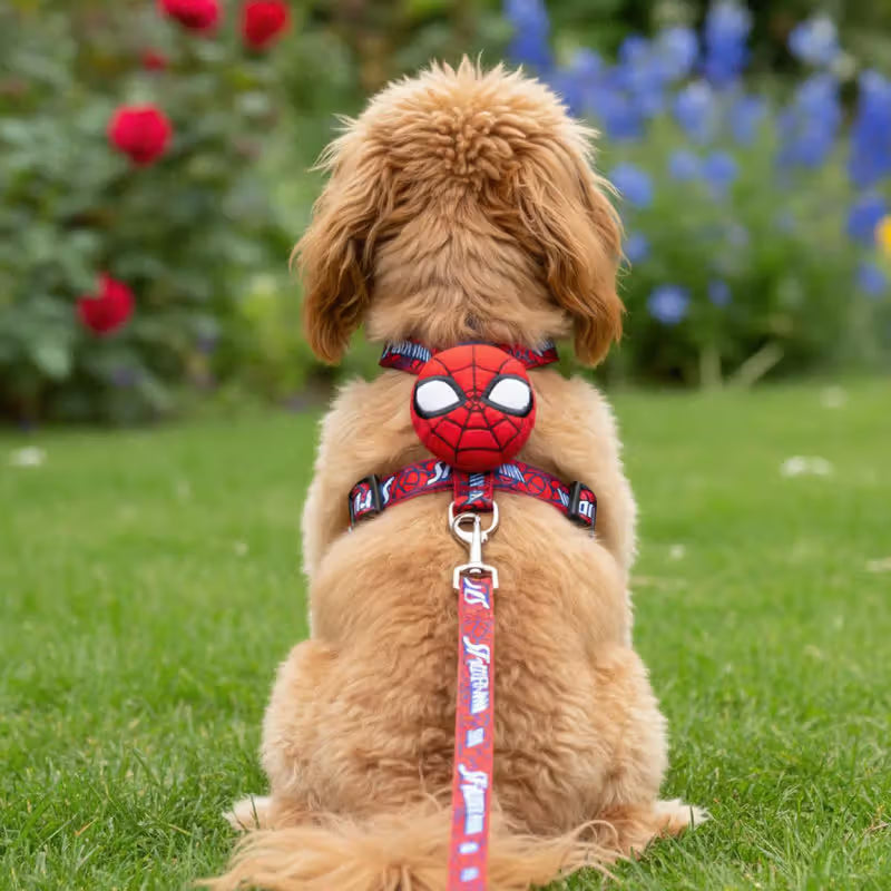 Disney & Warner Bros Conjunto Arnês e Trela Spider Man - para gato e cão