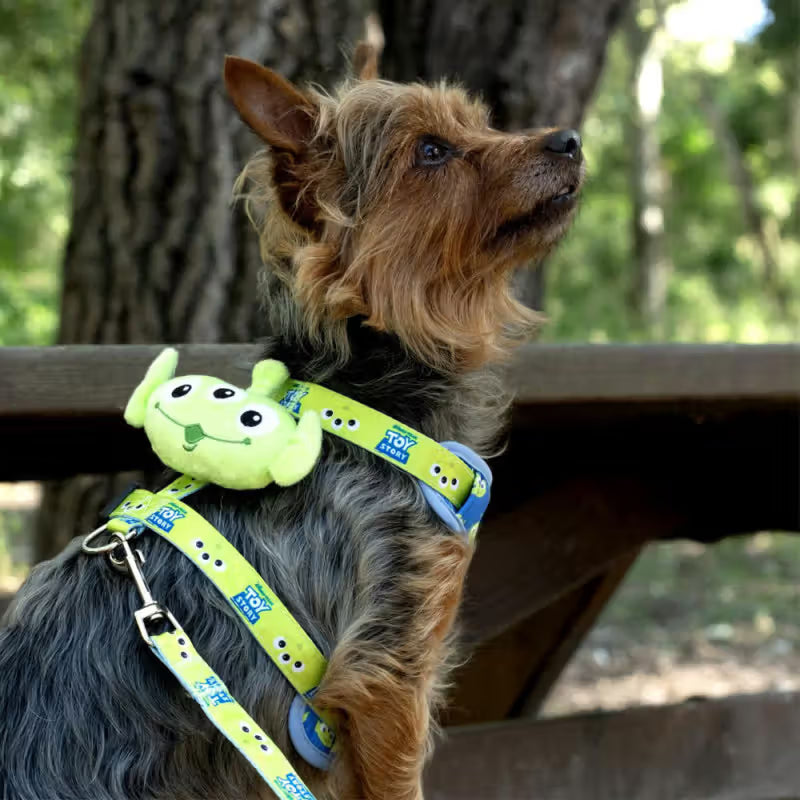 Disney & Warner Bros Toy Story - Conjunto de arnês e trela para cão e gato