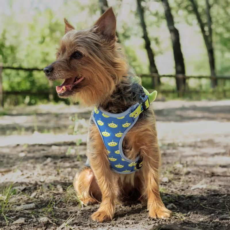 Disney & Warner Bros Toy Story - Conjunto de arnês e trela para cão e gato