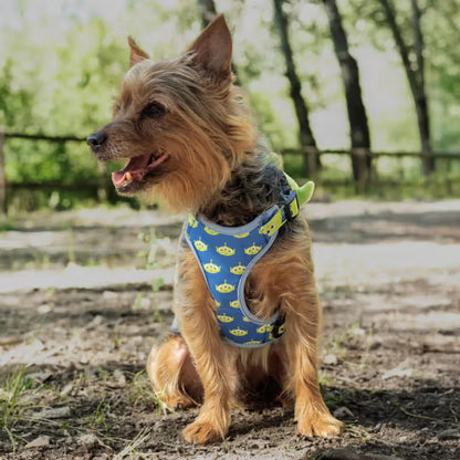 Disney & Warner Bros Toy Story - Conjunto de arnês e trela para cão e gato