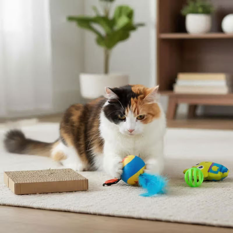 Disney & Warner Bros Toy Story - Set de juguetes para gato